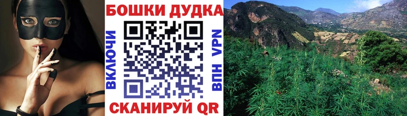 Купить закладки  Жирновск  Конопля MAZAR 